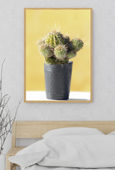 Golden Hour Cactus Canvas