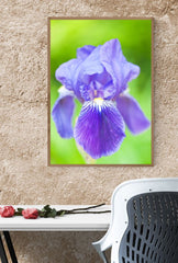 Mauve Dream Canvas Wall Art: Soft Hues for Elegant Decor