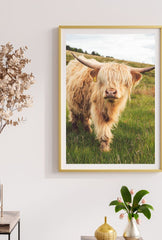 Highland Cow Canvas Wall Art – Rustic Farmhouse Animal Portrait