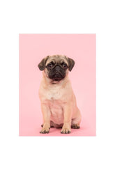 Adorable Pug Canvas Wall Art – Ganfaner Exclusive by Holidaypac