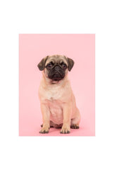Adorable Pug Canvas Wall Art – Ganfaner Exclusive by Holidaypac