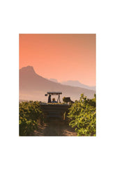 Autumn's Bounty: Capture the Beauty of Harvest on Canvas