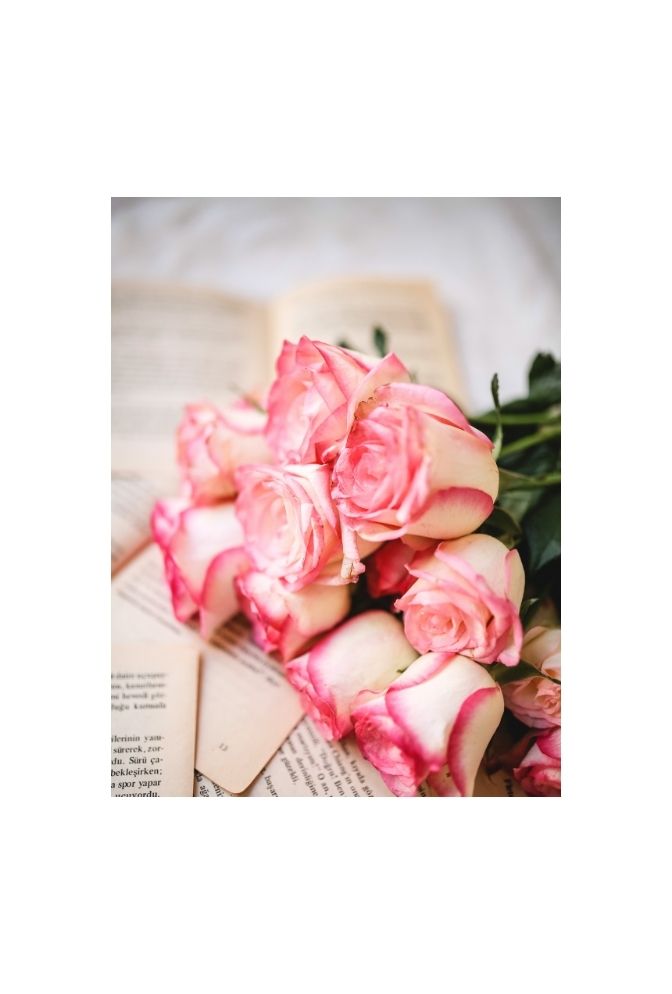 Blush Bloom: Pink Rose Canvas Art