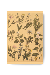 Botanical Canvas Wall Art Poster
