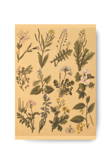 Botanical Canvas Wall Art Poster