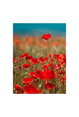 Crimson Bloom Canvas: Vibrant Red Flower Wall Art