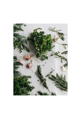 Culinary Canvas: Fresh Herb Wall Art for Kitchen & Dining