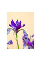 Culinary Harmony Canvas Art