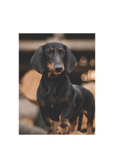 Dapper Dachshund Portrait Canvas Art