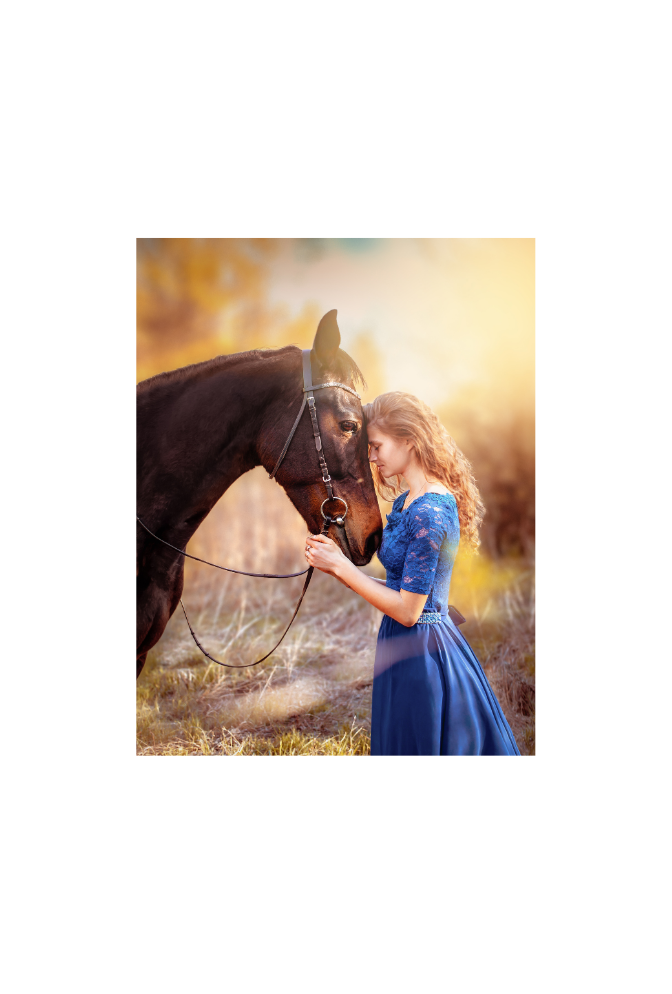 Disney Princess Canvas Wall Art Poster