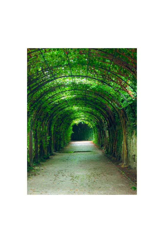 Emerald Arbor Canvas Art
