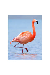 Flamingo Serenity Canvas Art