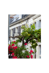 French_Country_Canvas_Wall_Art_Poster