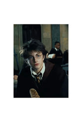 "Harry Potter: Young Wizard Portrait Canvas Art"