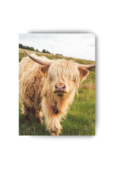 Highland Cow Canvas Wall Art – Rustic Farmhouse Animal Portrait