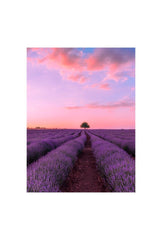Lavender Sunset: Tranquil Canvas Wall Art