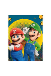Mario & Luigi: Brothers in Action Canvas Art