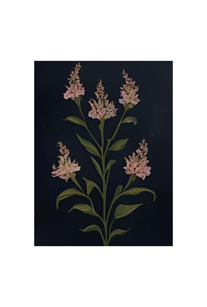 Midnight Muse: Dark Canvas Art Prints