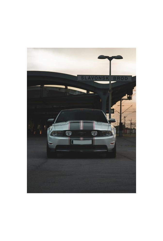 "Mustang Canvas Wall Art: Unleash American Muscle!"