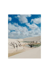 Oasis Tranquility Canvas Wall Art