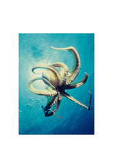 Ocean Majesty: Octopus Canvas Wall Art