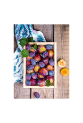 Orchard's Bounty: Plum Canvas Art