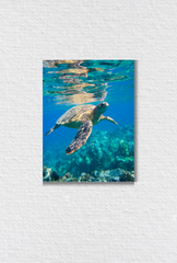 Sea Turtle Canvas Wall Art Poster