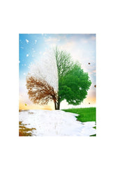 Seasonal Harmony Canvas Art