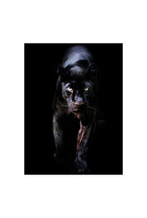 Shadow Stalker: Black Panther Canvas Art