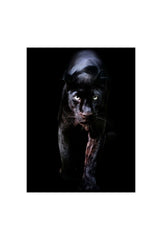 Shadow Stalker: Black Panther Canvas Art