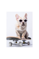 "Skate Paws" - French Bulldog Canvas Art