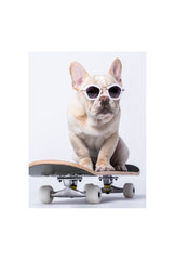 "Skate Paws" - French Bulldog Canvas Art