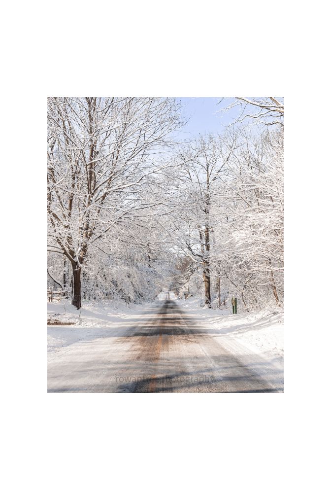 Stunning Canvas Wall Art for Snowy Scenes