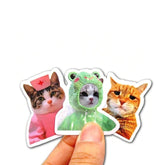 10/100pcs Funny Cat Meme Stickers Guitar Phone Bicycle Refrigerator Laptop Luggage Car Graffiti Kids Sticker