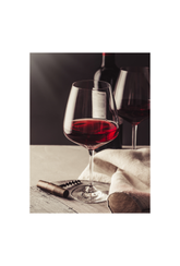 Vinho Tinto: Red Wine Still Life Canvas Art