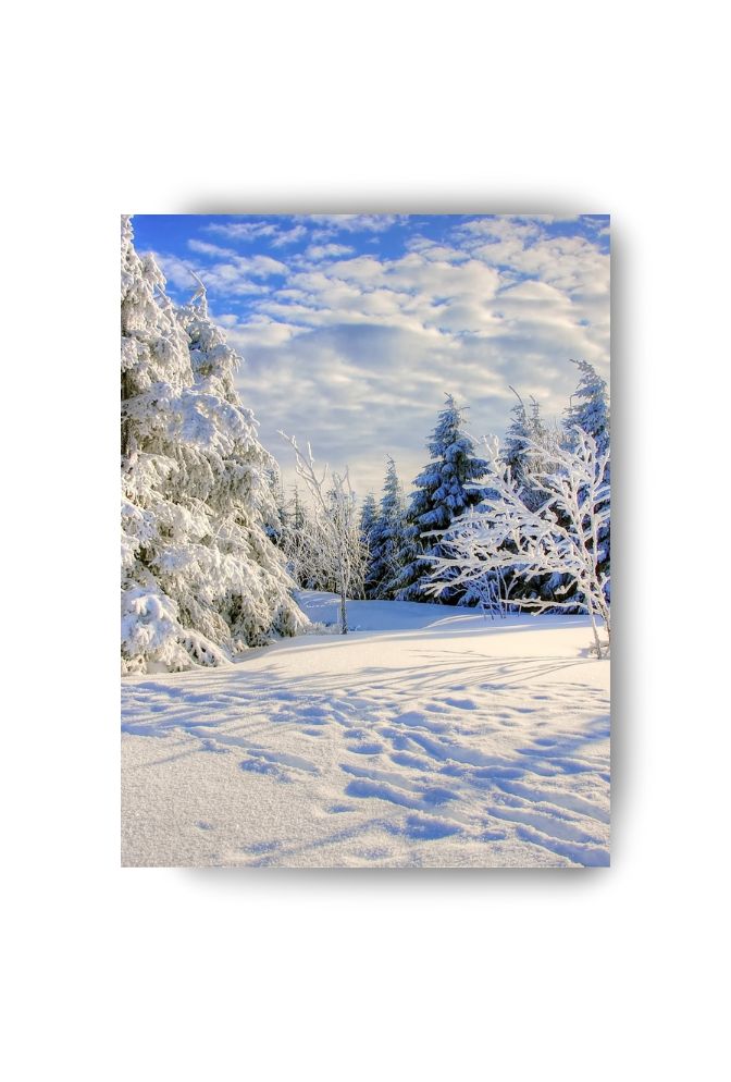 Winter Wonderland Canvas Wall Art – Snowy Landscape Home Decoration