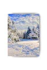 Winter Wonderland Canvas Wall Art – Snowy Landscape Home Decoration