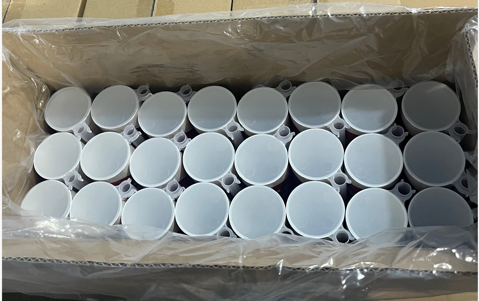 Ganfaner sushi push pop tubes packed upright in a carton, ready to ship from stock
