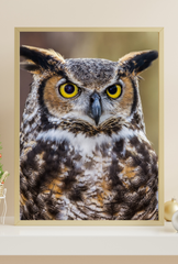 Owl Canvas Wall Art Poster