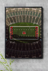 Buckeye Pride: Ohio State Canvas Art