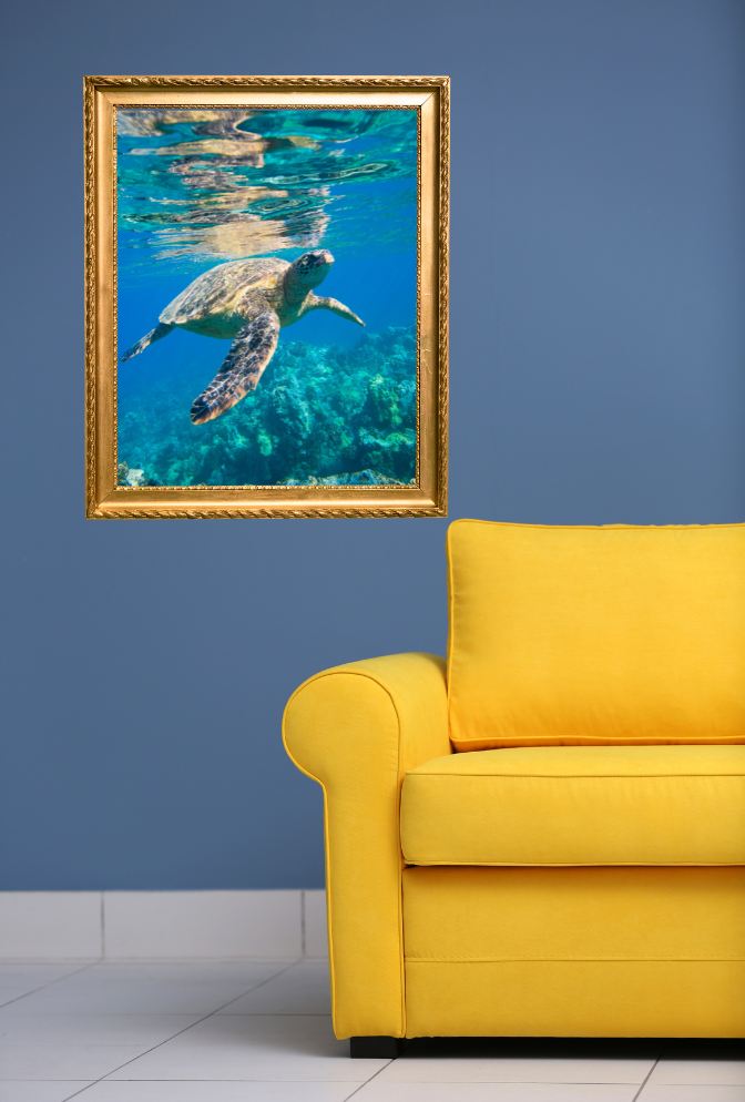 Sea Turtle Canvas Wall Art Poster