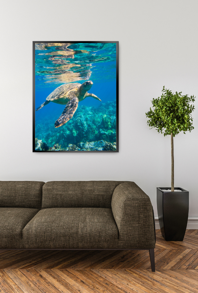 Sea Turtle Canvas Wall Art Poster