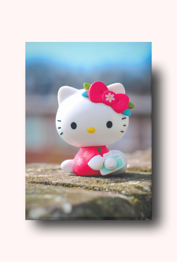 Hello Kitty Canvas Wall Art: Say Cheese!