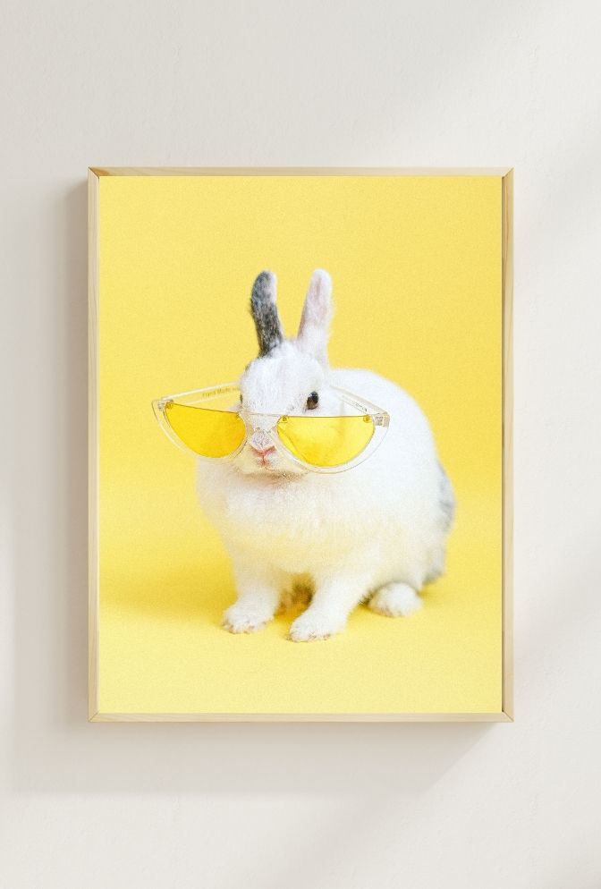 Hip Hop Bunny: Sunglasses Canvas Art