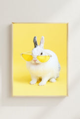 Hip Hop Bunny: Sunglasses Canvas Art