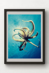 Ocean Majesty: Octopus Canvas Wall Art