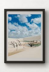 Oasis Tranquility Canvas Wall Art