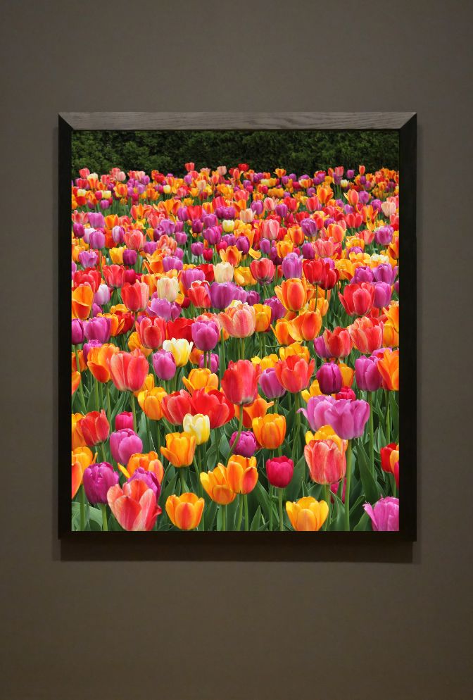 Vibrant Canvas Wall Art for a Burst of Color