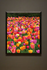 Vibrant Canvas Wall Art for a Burst of Color