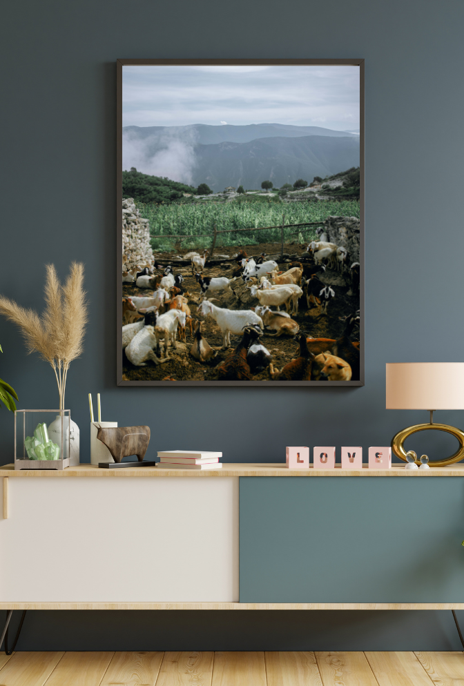 Country Charm: Whimsical Farm Animal Canvas Wall Art